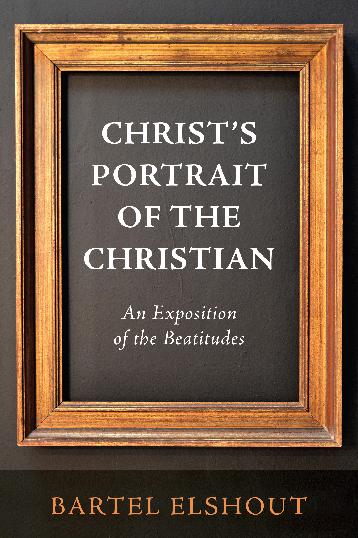 Christ’s Portrait of the Christian